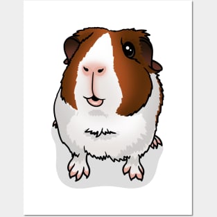 Red Dutch Guinea Pig Posters and Art